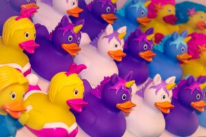 Selection of brightly coloured rubber ducks