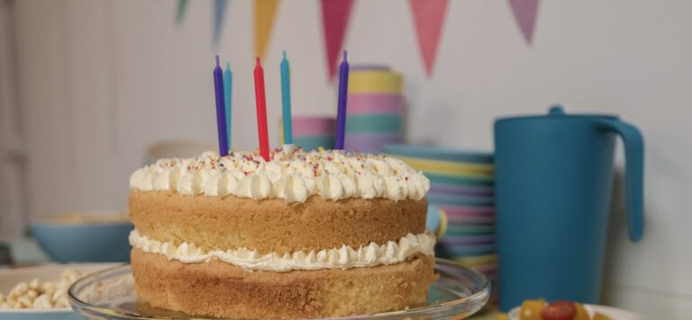 Cake and party set up with reusable plates