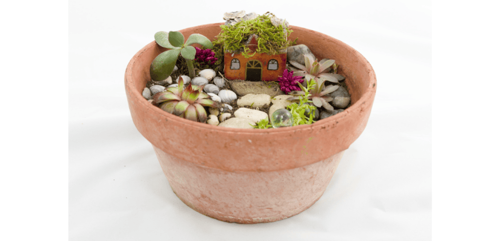 Terracotta pot made into fairy garden