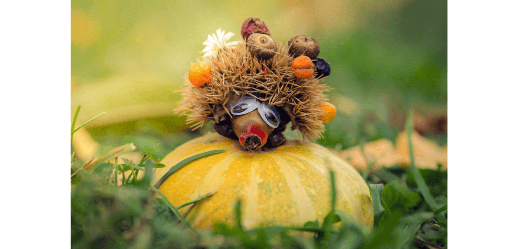 Little hedgehog made from objects found in nature