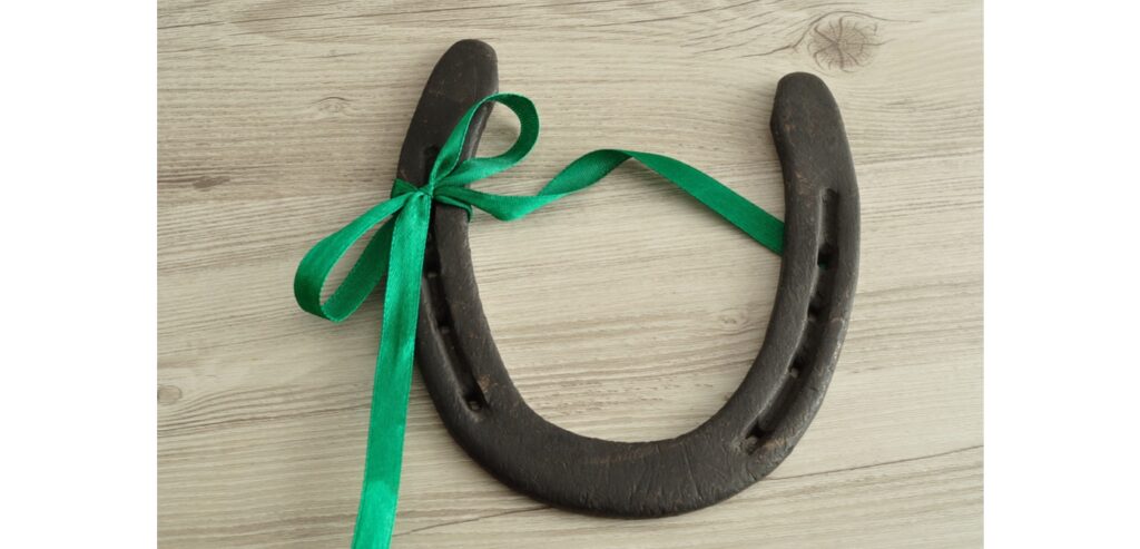 Horse shoe