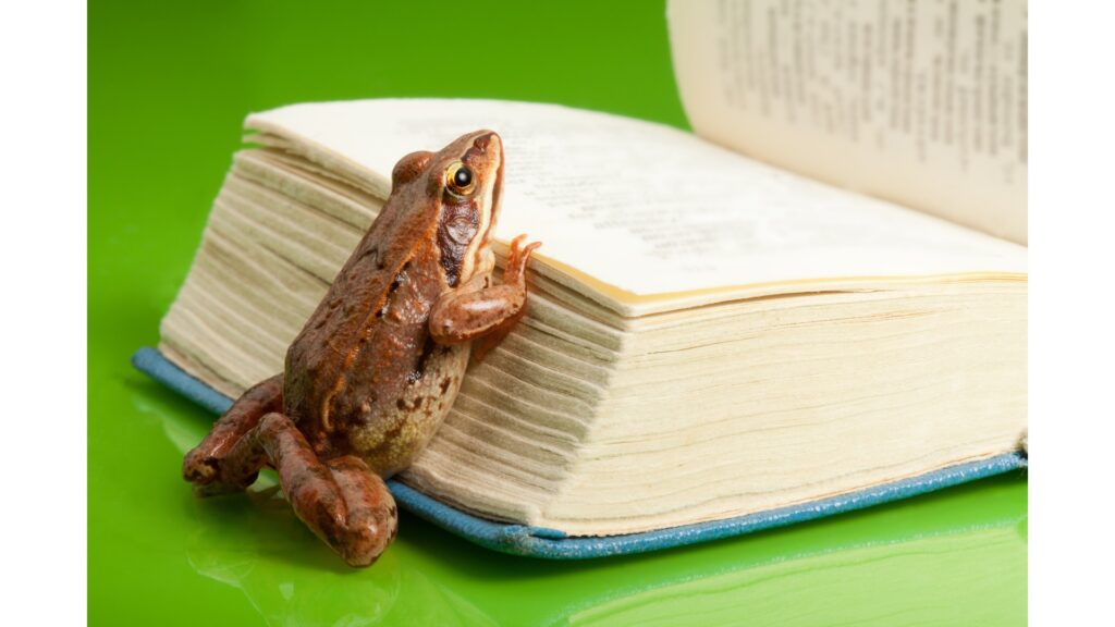 An open book and a frog