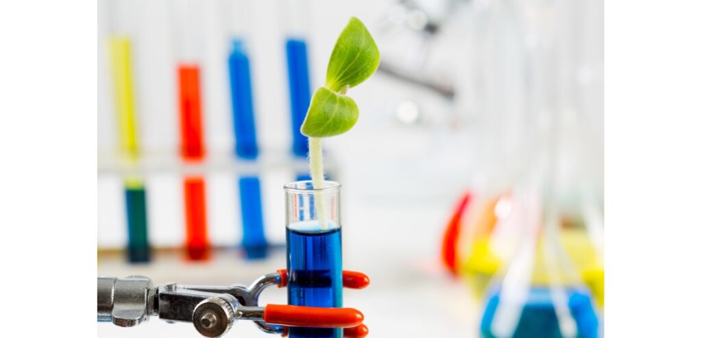 Test tube with seedling