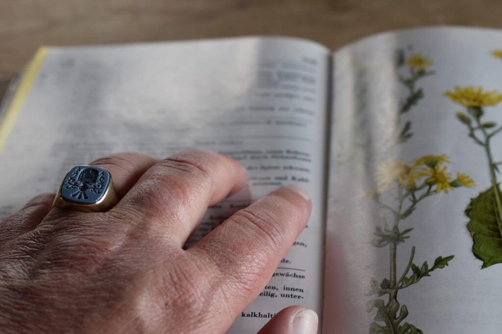 A hand on an open page of an identification book of flowers