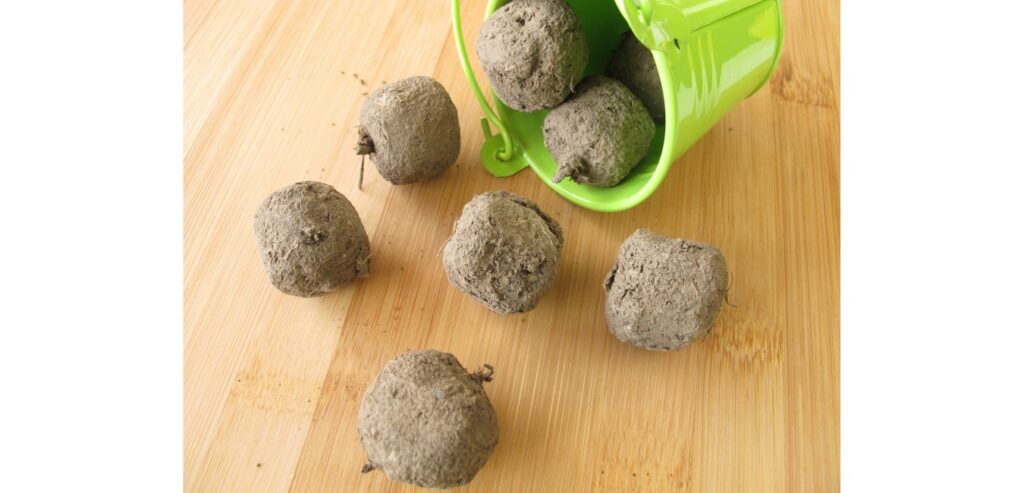 Bucket with seed balls tumbling out
