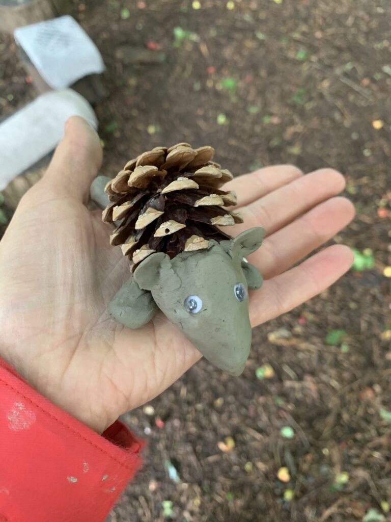 Pinecone hedgehog