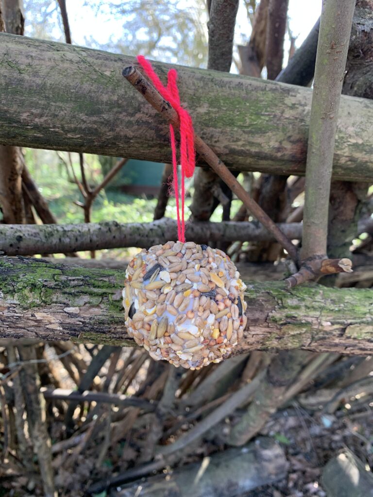 Lily’s bird seed feeder