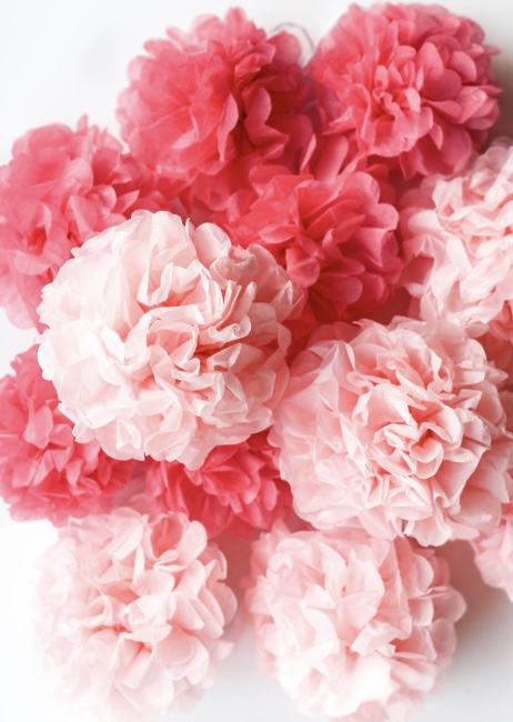 Pink tissue paper flowers