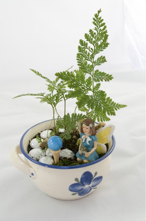 Tea cup made into a fairy garden