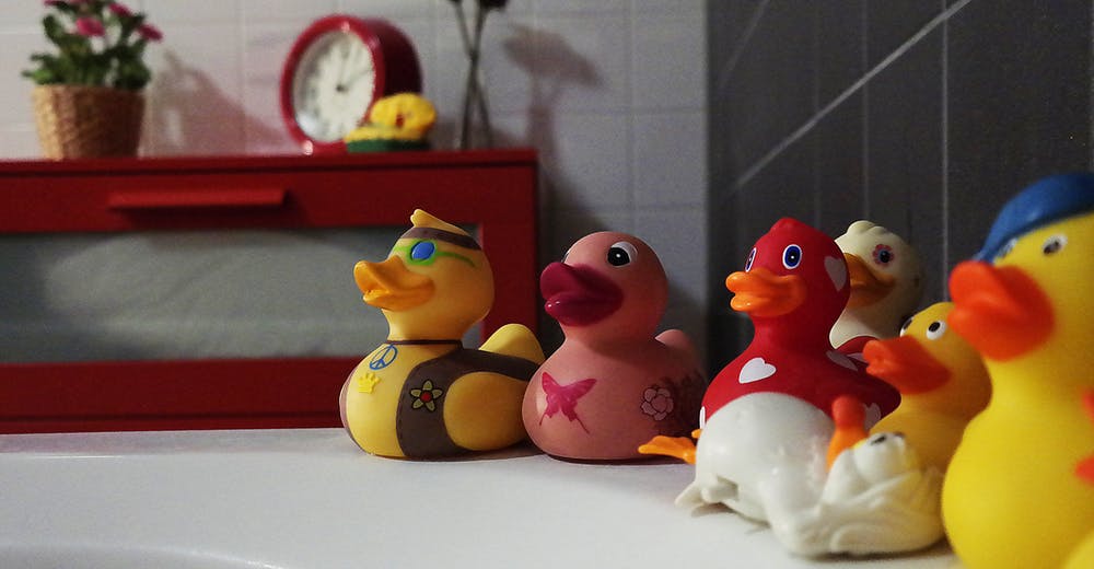 A line of rubber ducks