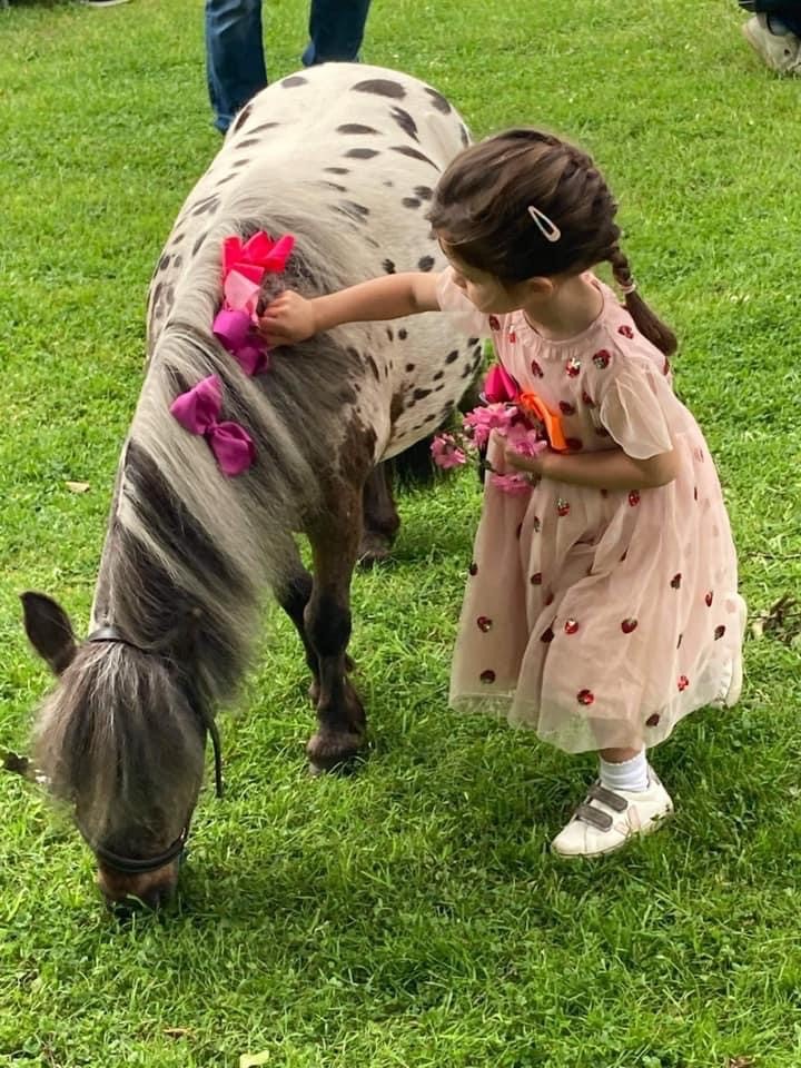 Little girl stroking a Shetland pony - party suppliers that offer inclusive parties