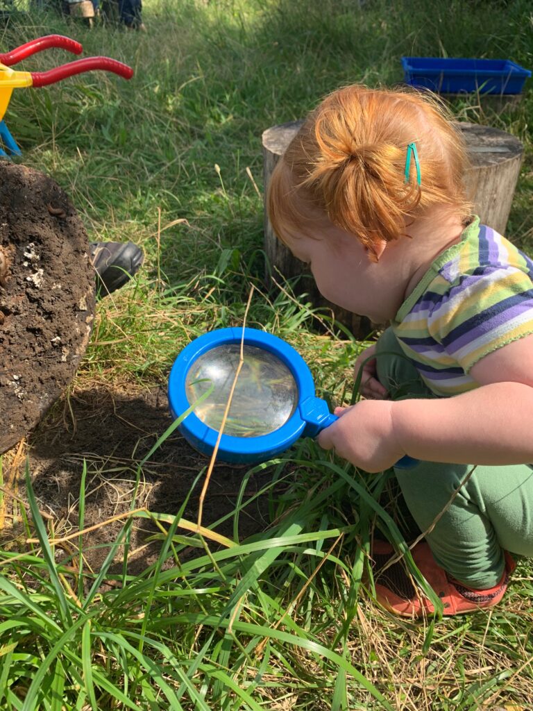 Bug hunting - Forest school style parties