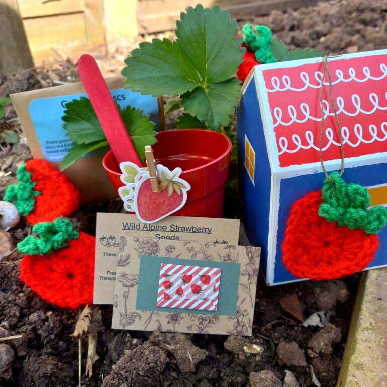 Party bag fillers to plant strawberries - Ready made party bags - eco-friendly