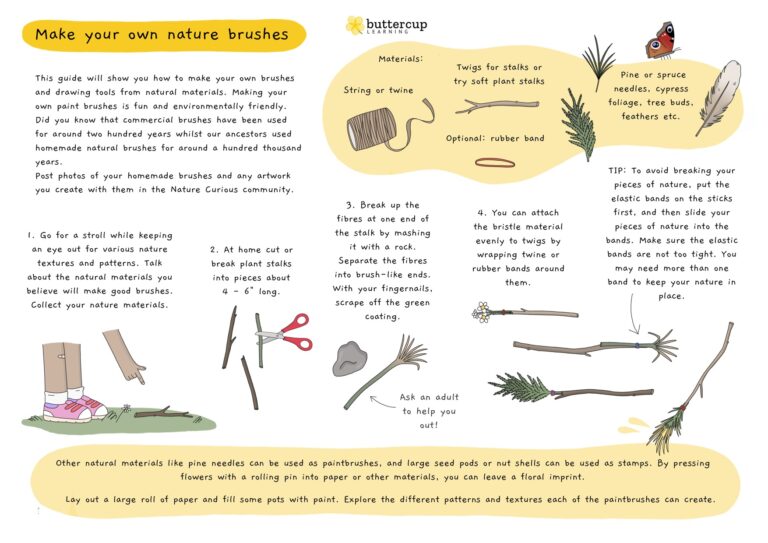Instructions to make your own nature brushes - Forest school style parties - buttercup