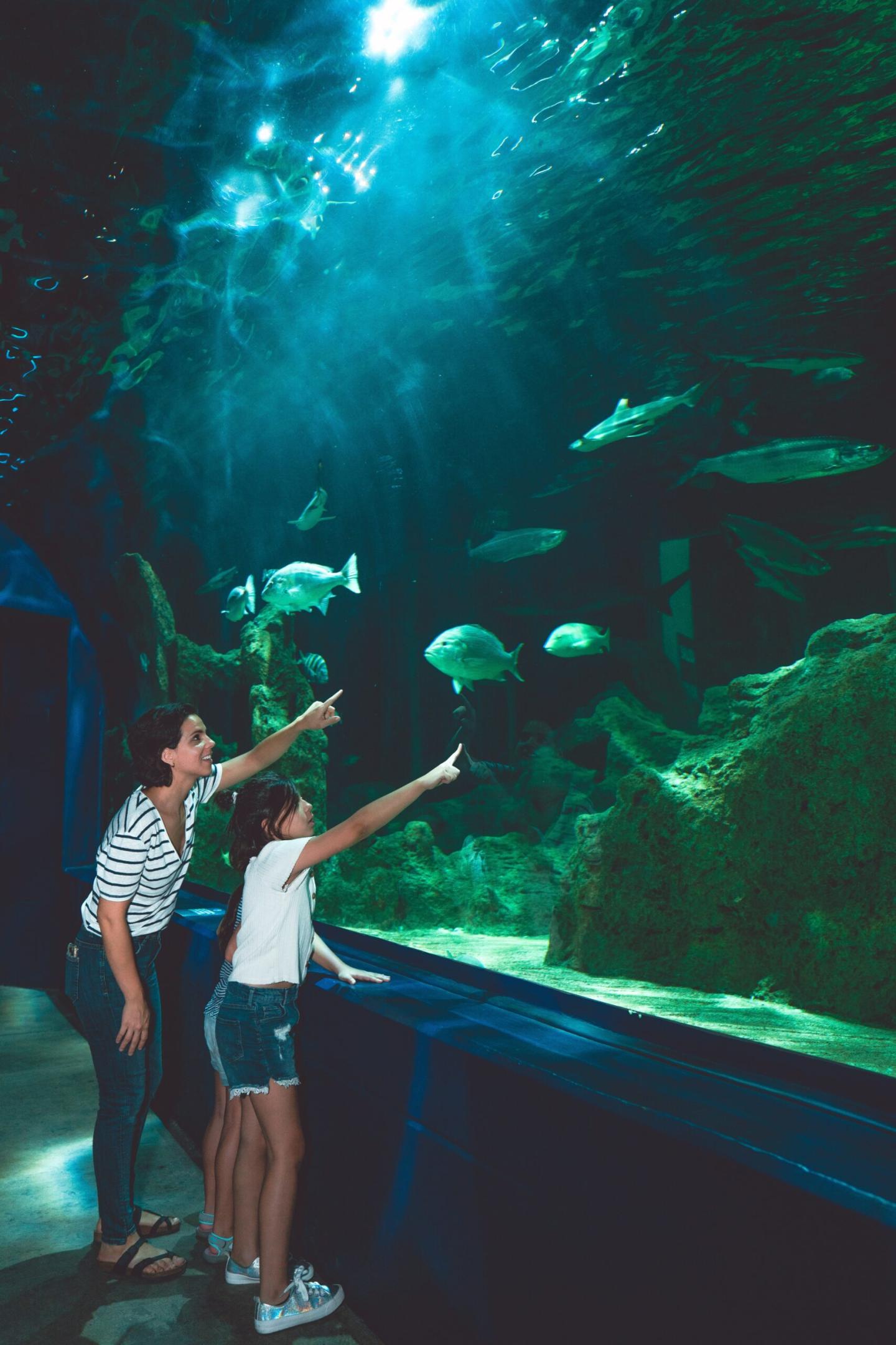 Mother and daughter at aquarium - Non gift birthday presents