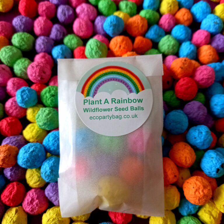 Seed balls - eco party bag - Forest school style parties