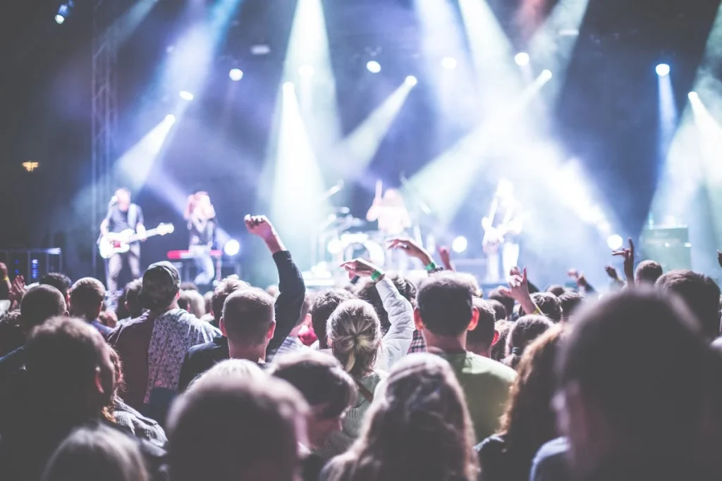 People at a busy concert